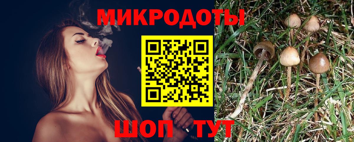 Псилоцибиновые грибы MAGIC MUSHROOMS  Вход с VPN  Нефтекамск 